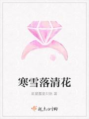 寒雪落清花
