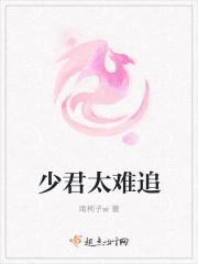 少君太难追
