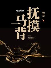 抚摸马背