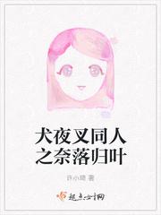 笨婢宠儿