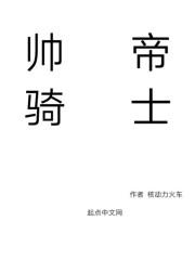 帅帝骑士