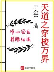 天道之穿梭万界