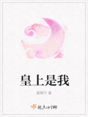 皇上是我