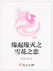 缘起缘灭之雪花之恋