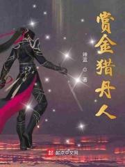 赏金猎丹人