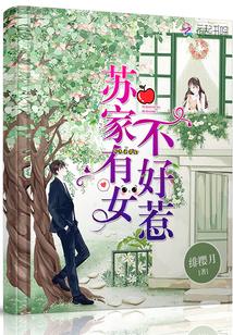 苏家有女不好惹