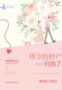 傅少的财产归我了