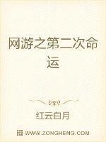 网游之第二次命运