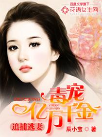 追捕逃妻:毒宠亿万千金