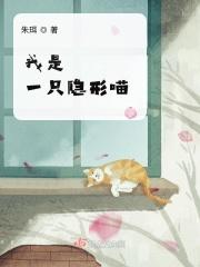 我是一只隐形喵