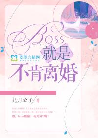 boss就是不肯离婚