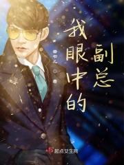 我眼中的副总
