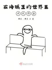 在海贼王的世界里兴风作浪