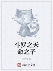 斗罗之天命之子