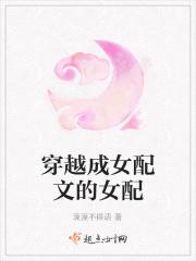 穿越成女配文的女配