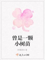 曾是一颗小树苗