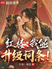 红楼:我能升级词条!