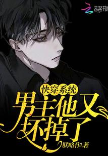 快穿系统:男主他又坏掉了